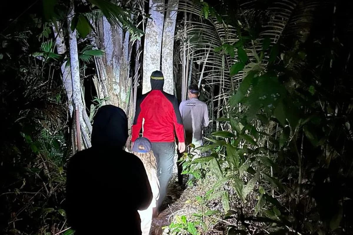 Nachtelijke jungle-wandeling met hoofdlamp, Bukit Lawang