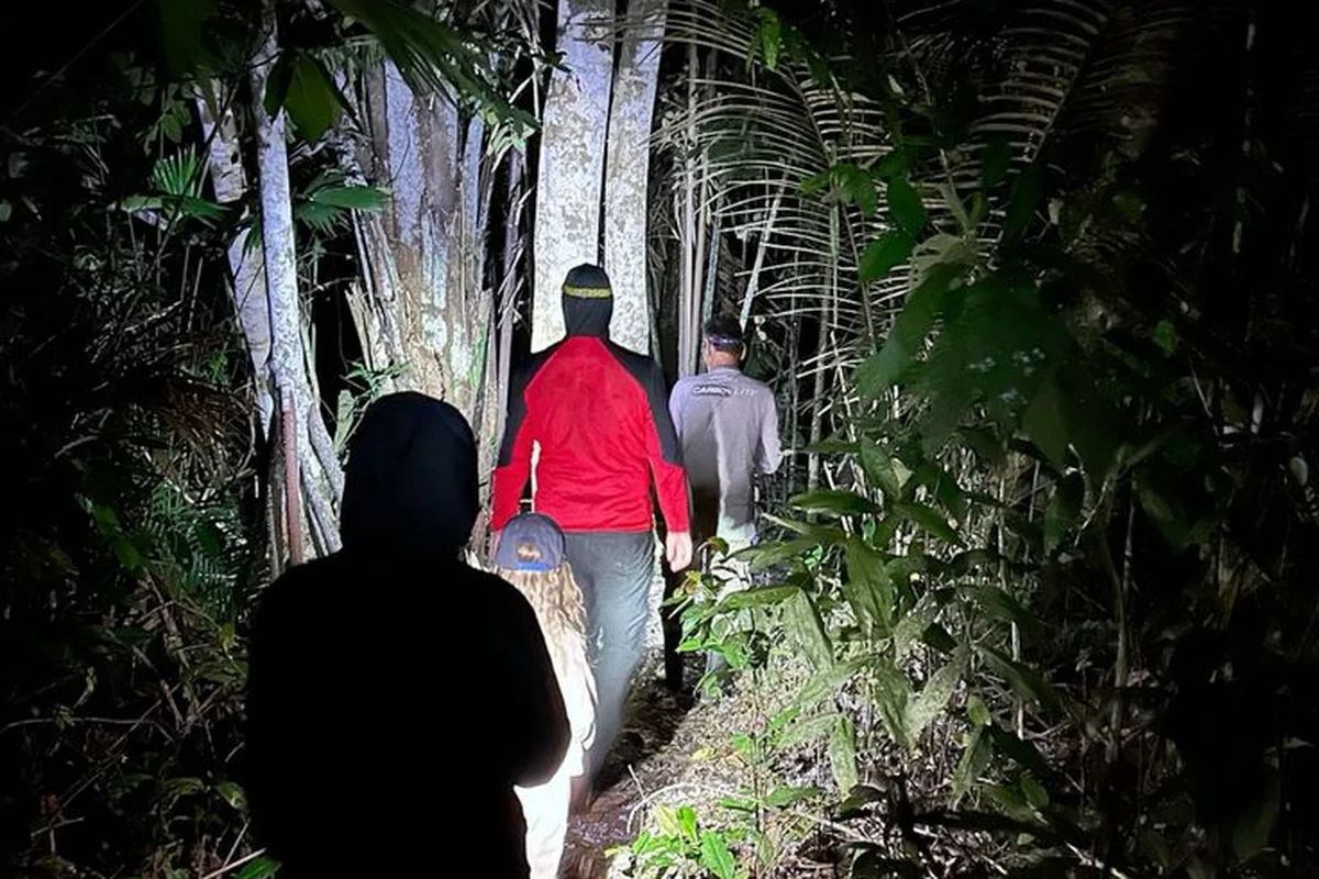 Nighttime jungle walk with headlamp, Bukit Lawang